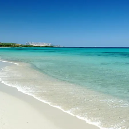 Mare, Parcheggio E Wifi Gratis 布多尼