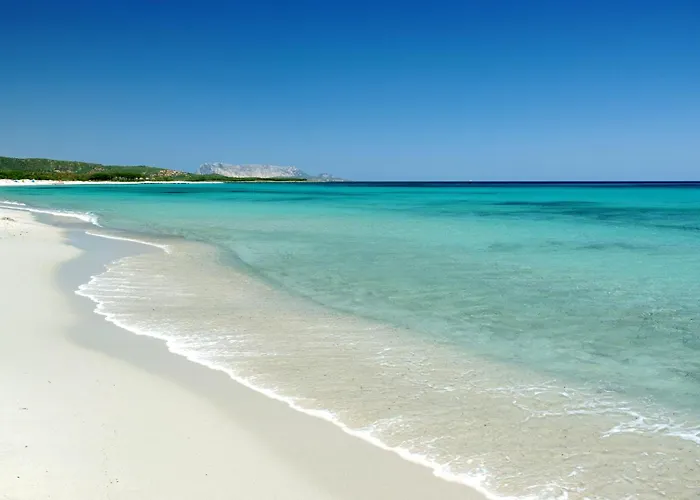 Mare, Parcheggio E Wifi Gratis Budoni