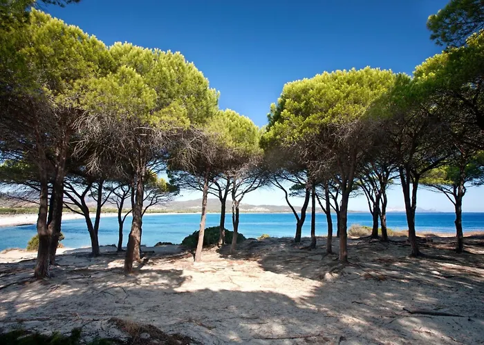 Mare, Parcheggio E Wifi Gratis * Budoni